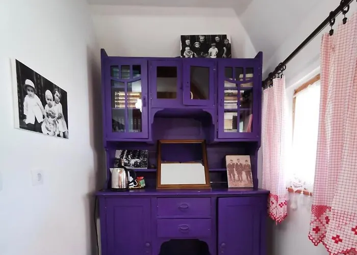 Gospodarstwo wiejskie Etno Selo Rajski Konaci Leusici