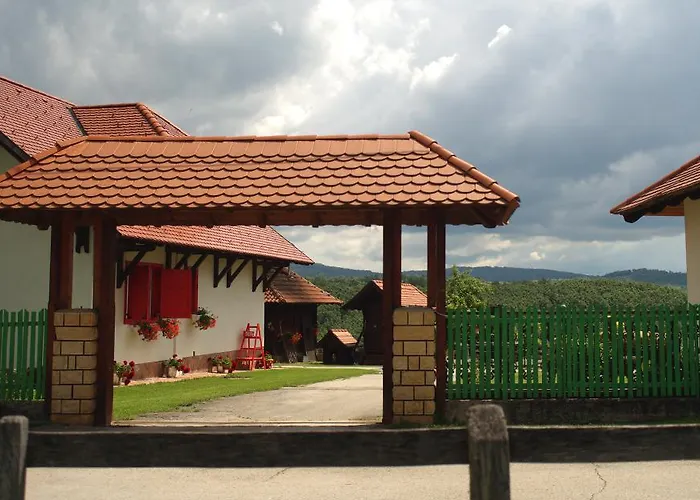 Gospodarstwo wiejskie Etno Selo Rajski Konaci *